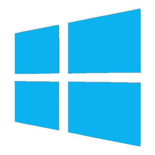 Microsoft Windows 11 Professional - FPP